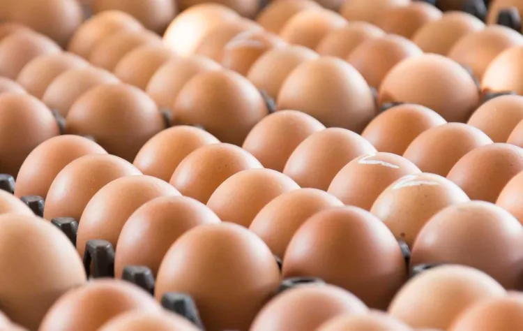 Prohíben a viajeros cruzar con huevos crudos desde México