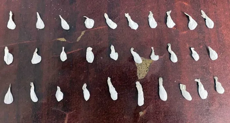 Detienen a joven con 30 envoltorios de marihuana