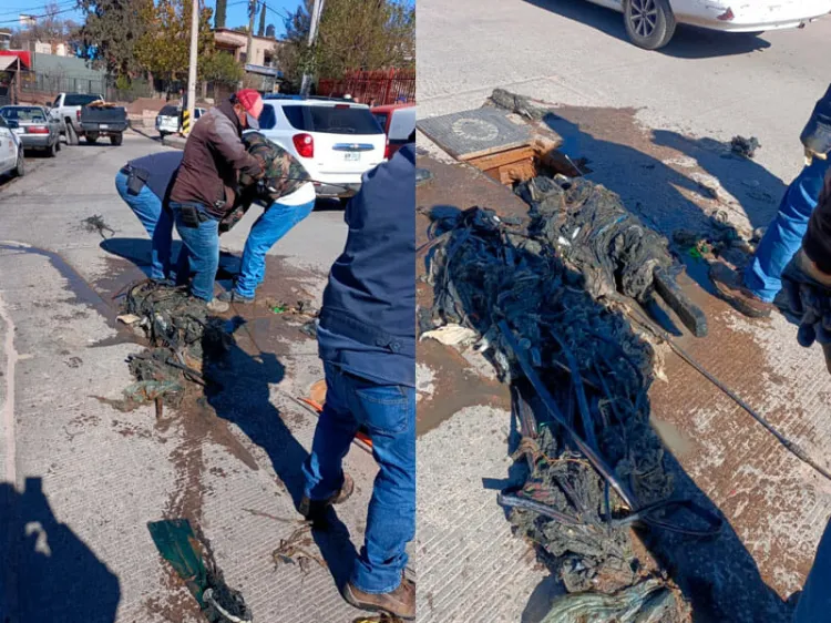 Colapsa red de colectores por basura: Oomapas