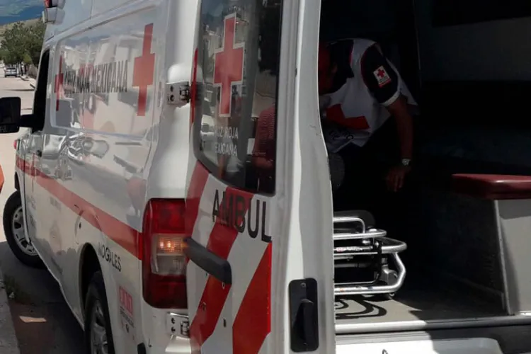 Muerden perros a sexagenaria