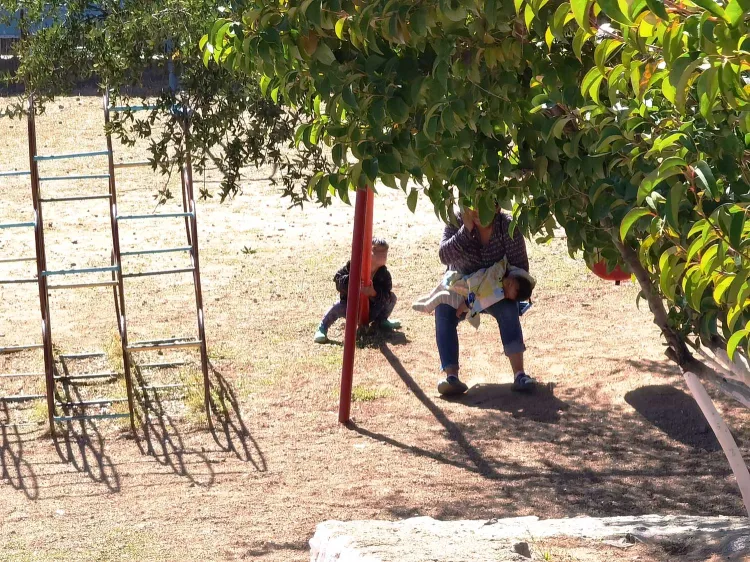 Presenta complicaciones aplicación CBP One