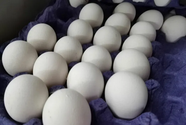 Prevén aumento en precio del huevo