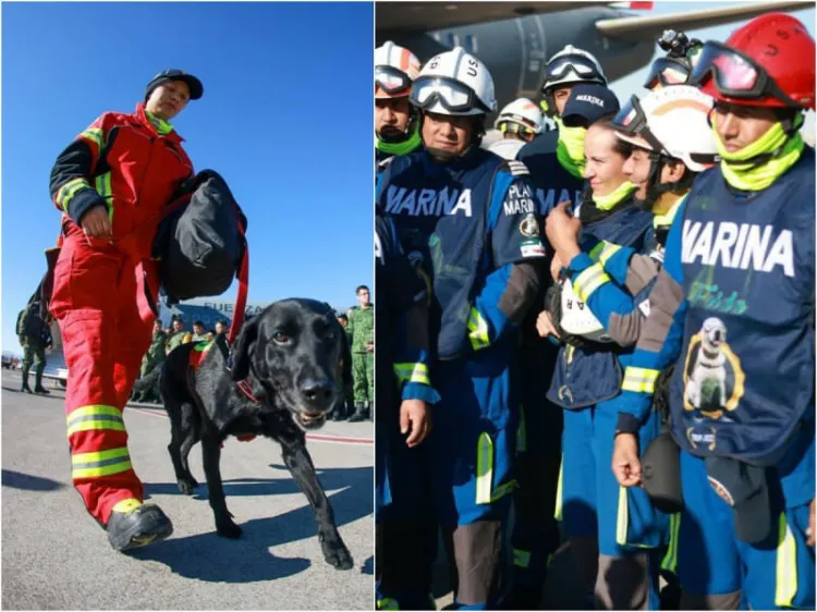 Delegación mexicana de rescatistas llega a Turquía