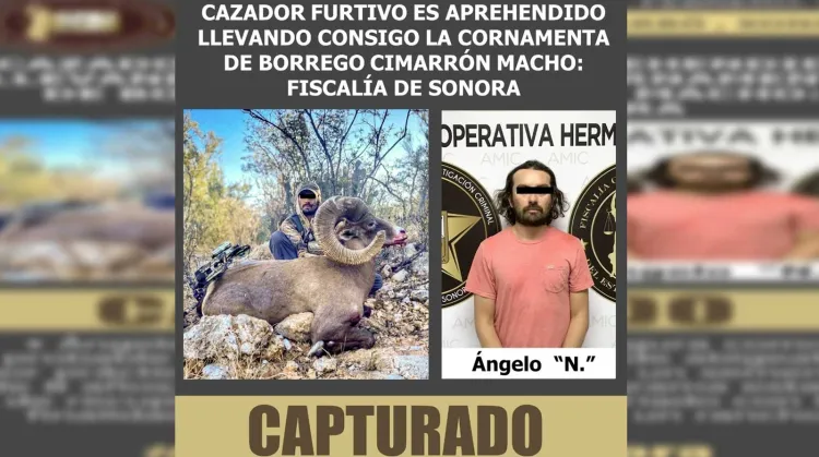 Detienen a presunto cazador furtivo de borrego cimarrón