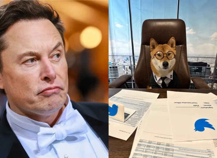 Nombra Elon Musk a su perro como CEO de Twitter: Es muy bueno para los números