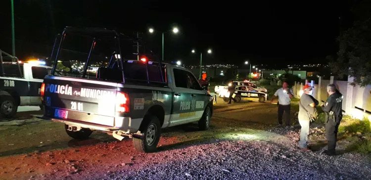 Roban diferente mercancía de una florería