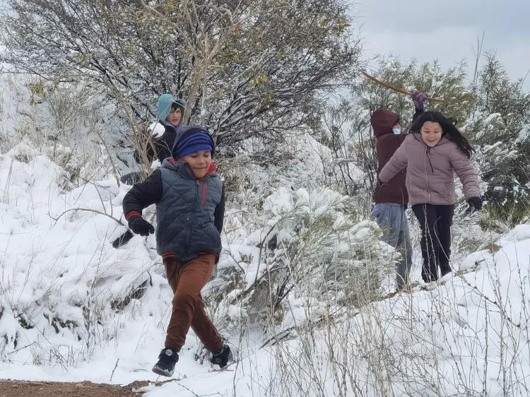 Salen a divertirse bajo la nieve