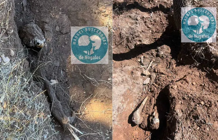 Encuentran más osamentas en La Mesa