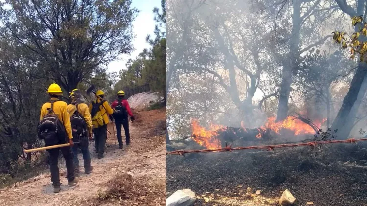 Alertan por incendios forestales en estas fechas