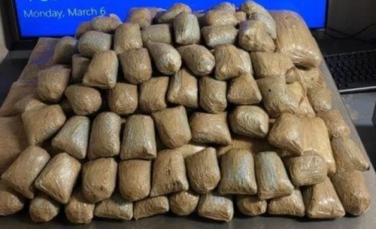 Logra canino decomisos de drogas en garita de Arizona