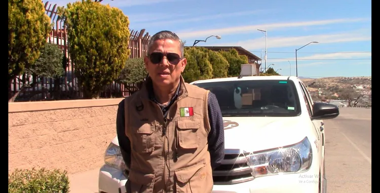 Reportan enjambres de avispas en escuelas