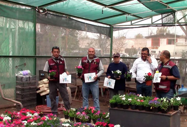 Dará Imagen Urbana bienvenida a la primavera 2023