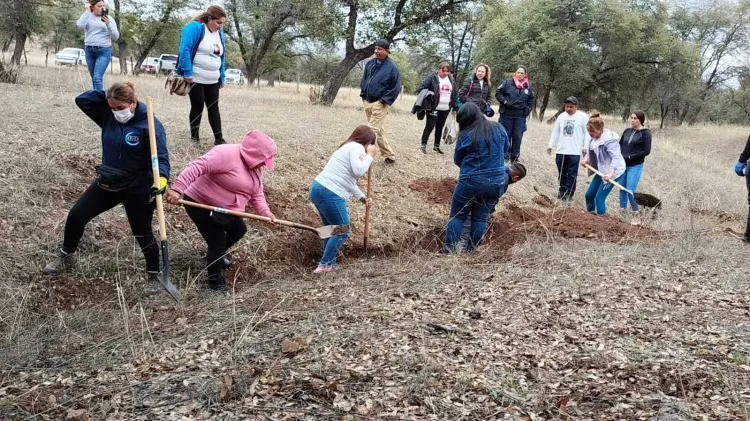 Encuentran más restos óseos en fosas clandestinas