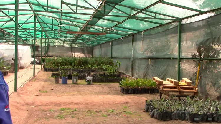 Llega la primavera y con ello la importancia de saber que se puede plantar