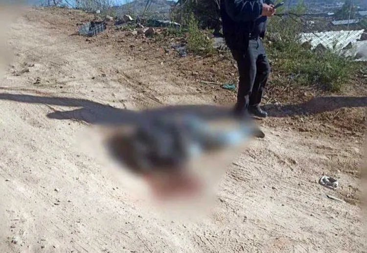 Fallece hombre al ser atropellado por conductor ‘fantasma’