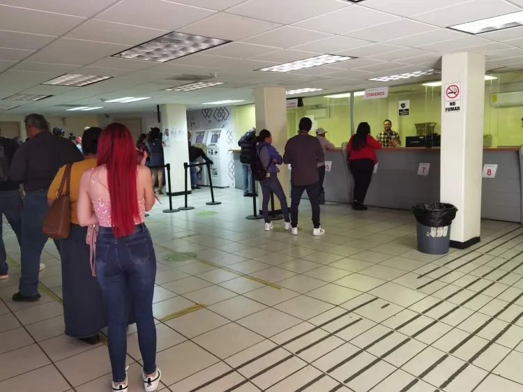 Llaman a cumplir con revalidación vehicular antes de abril