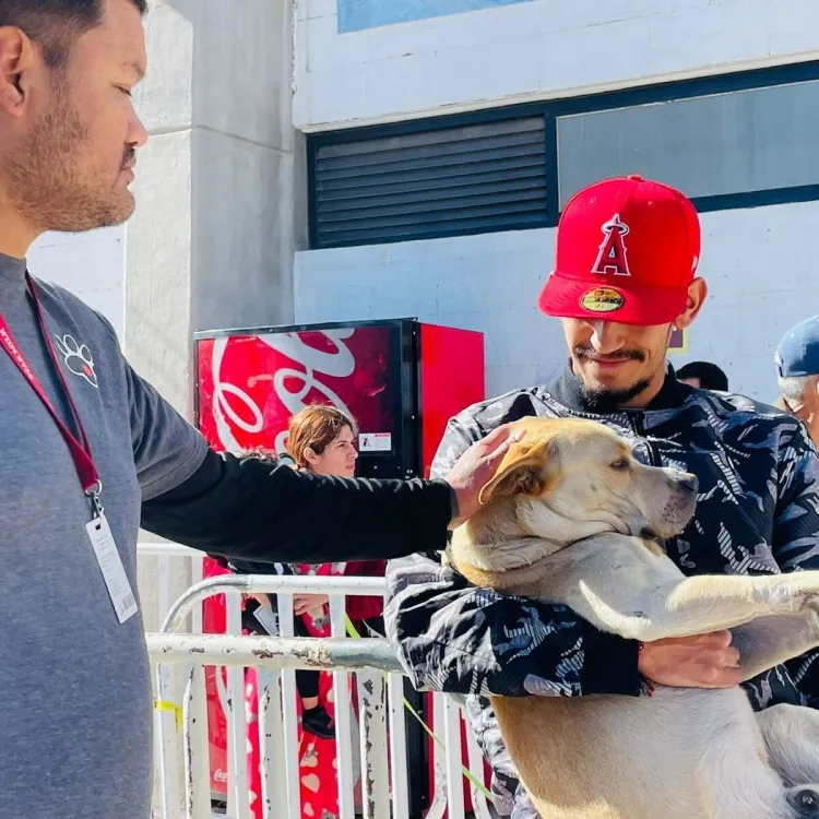 Alistan jornadas de esterilización de mascotas para esta semana