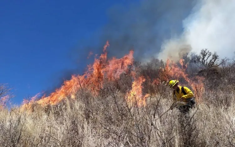 Van 22 incendios forestales en Sonora