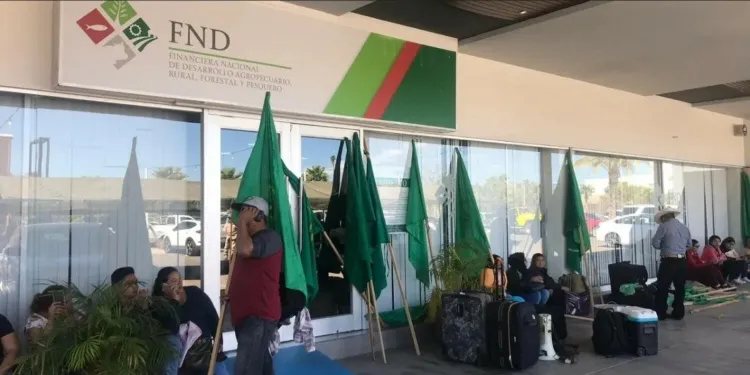 AMLO señala que Financiera Rural ya estaba dañada desde antes