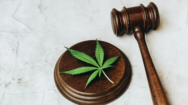 Celebran el 20 de abril el Día de la Marihuana