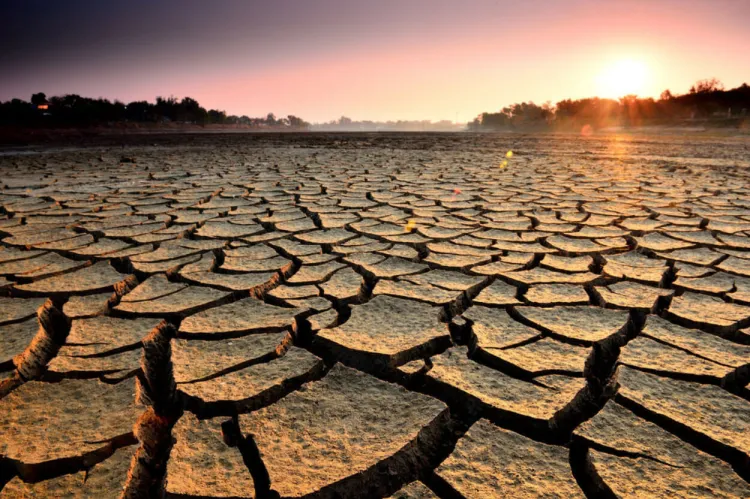 Estrés hídrico impactaría el desarrollo de México: estudio