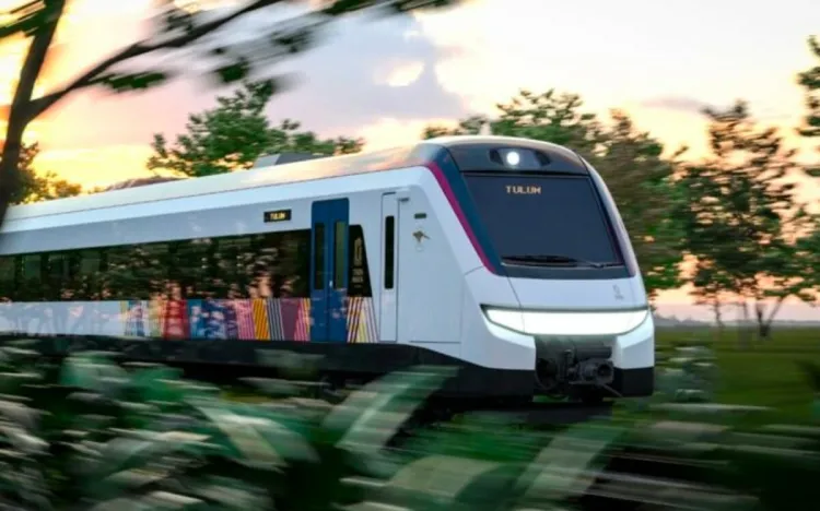 Destina Bienestar 2,857 mdp anualmente para cultivos en zona del Tren Maya