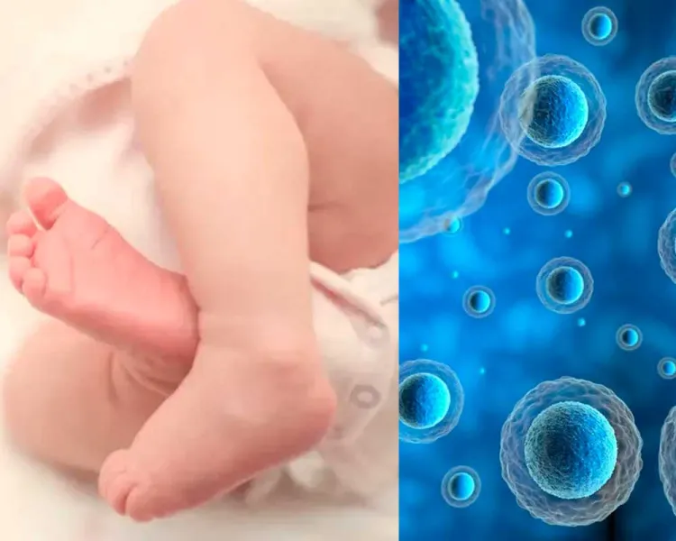 Nace bebé con ADN de tres personas en Reino Unido