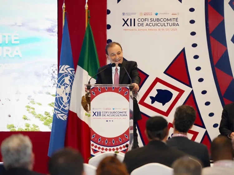 Buscan impulsar la actividad pesquera en Sonora