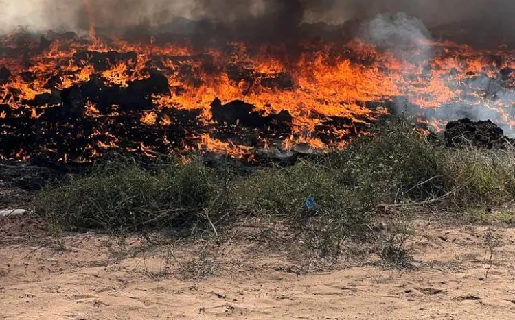 Investigan origen de últimos incendios en Hermosillo