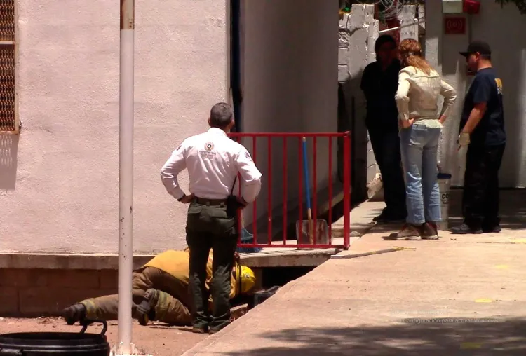 Detectan serpientes dentro de kínder