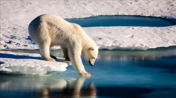 Se quedará sin hielo el Polo Norte para el 2030, indica estudio