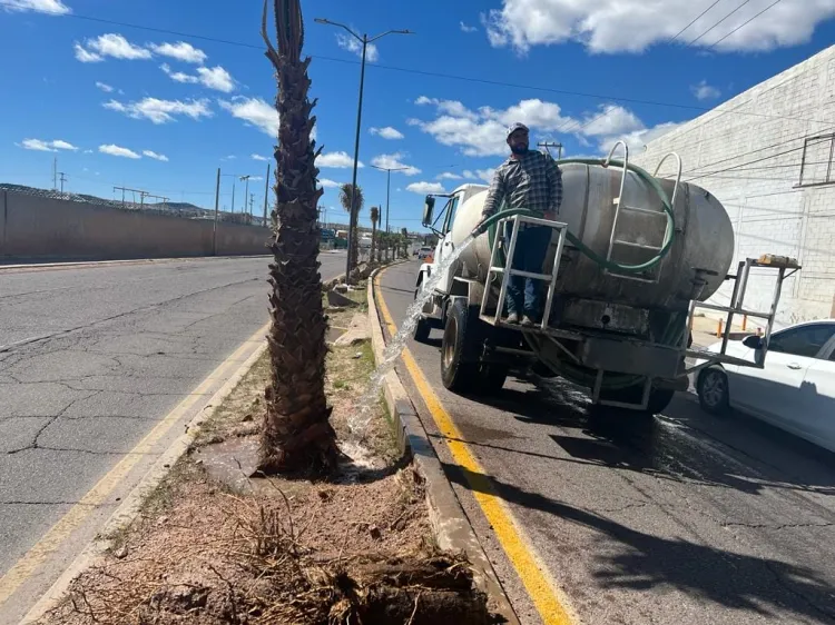 Mejora Imagen Urbana primer cuadro citadino