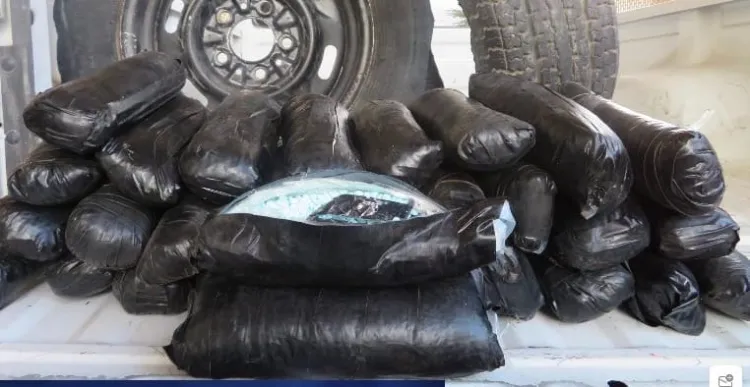 Decomisan droga que intentaban cruzar a EU