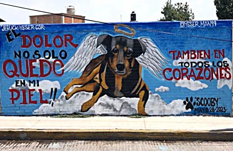 Crean mural en honor a Scooby, perrito asesinado en Tecámac