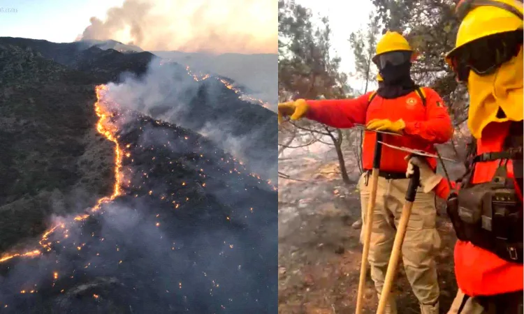 Atienden Protección Civil y diversas autoridades incendio forestal en Ímuris