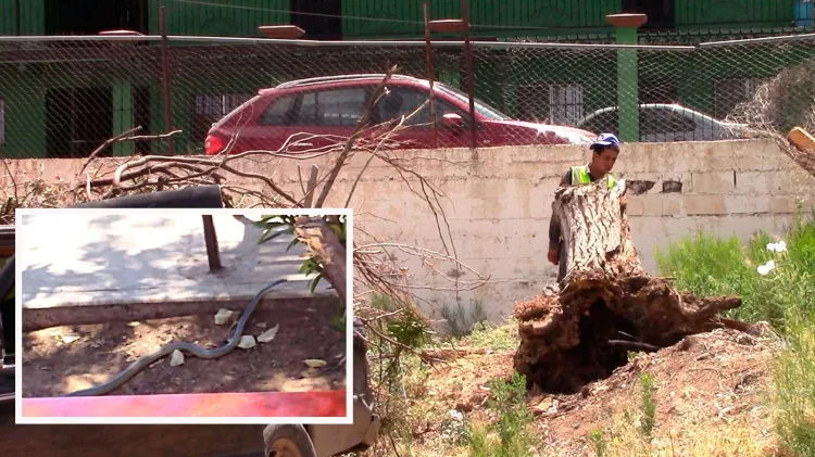 Listos para regreso a clases