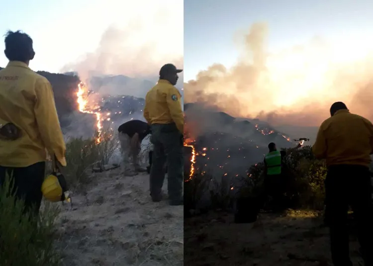 Piden apoyo para brigadistas que combaten incendio en Ímuris