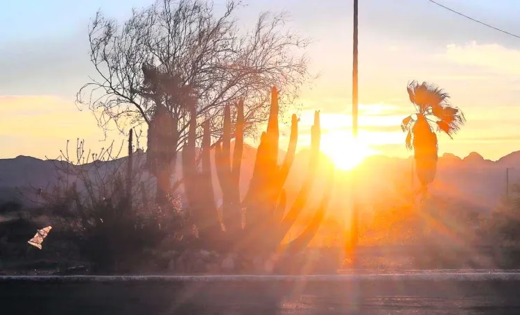 Es desierto sonorense, de los más calientes del mundo