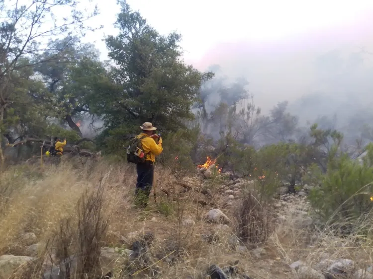 Piden apoyo para combatientes de incendio en Ímuris