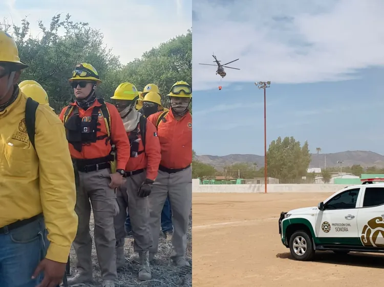 Controlan 60% incendio forestal en Ímuris