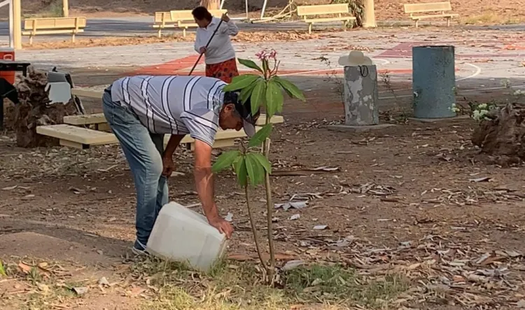 Celebran 200 jornadas de limpieza en La Sauceda