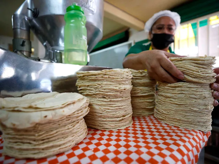 Impulsa AMLO consumo nacional de maíz blanco