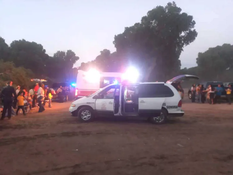 Cae árbol sobre familia; estaban de día de campo