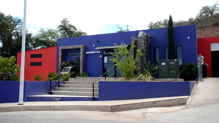 Enfrenta Arsobo retos de financiamiento de prótesis