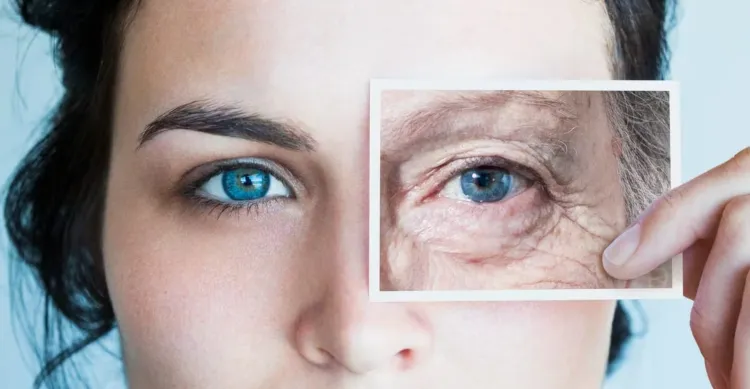 Descubren forma de frenar el envejecimiento celular