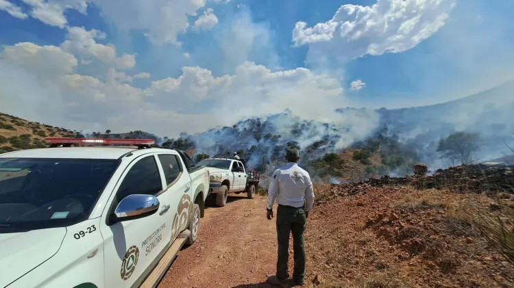 Sofocan incendio forestal en esta frontera