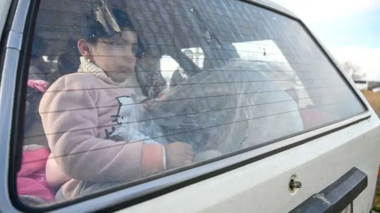 Insisten en no dejar a menores y mascotas en automóviles