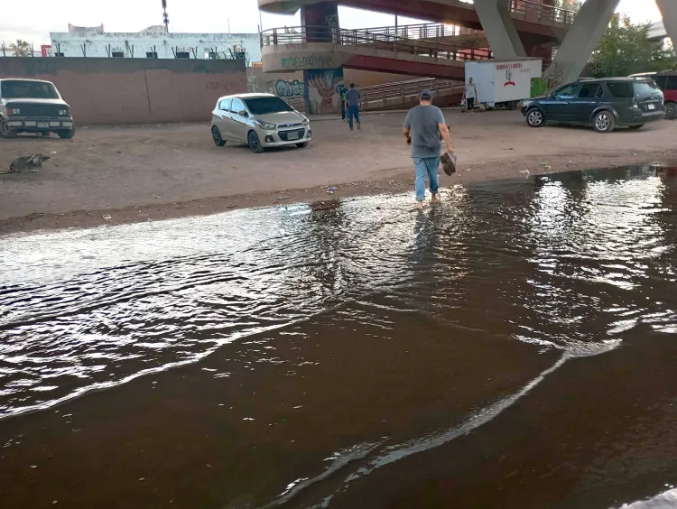 Atiende el Oomapas problema de aguas negras en bulevar 2000