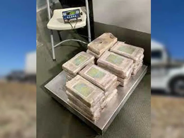 Incauta la GN 200 kilos de cocaína