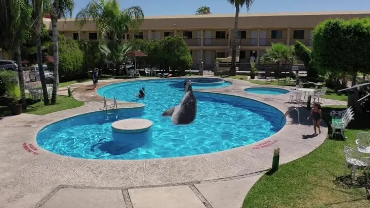 Muere niño de 5 años tras caer a alberca en hotel de Hermosillo